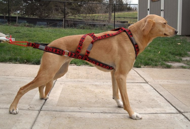HD WHEEL DOG HARNESS